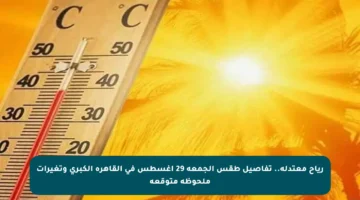 رياح معتدلة.. تفاصيل طقس الجمعة 29 أغسطس في القاهرة الكبرى وتغيرات ملحوظة متوقعة